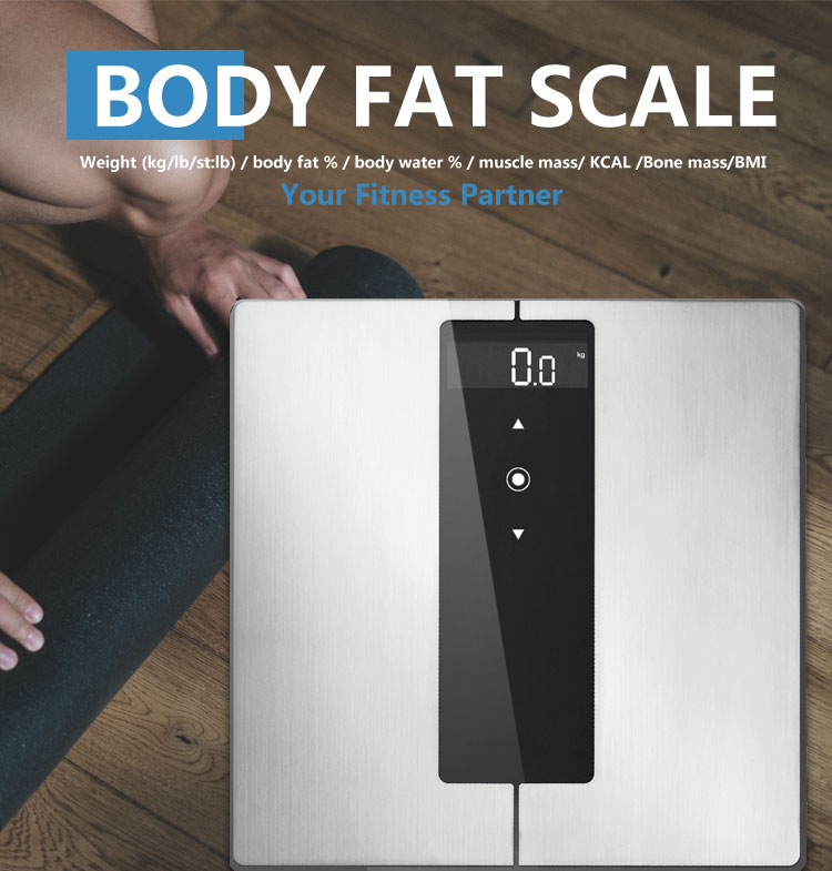 масштаб тела жир и мышцы